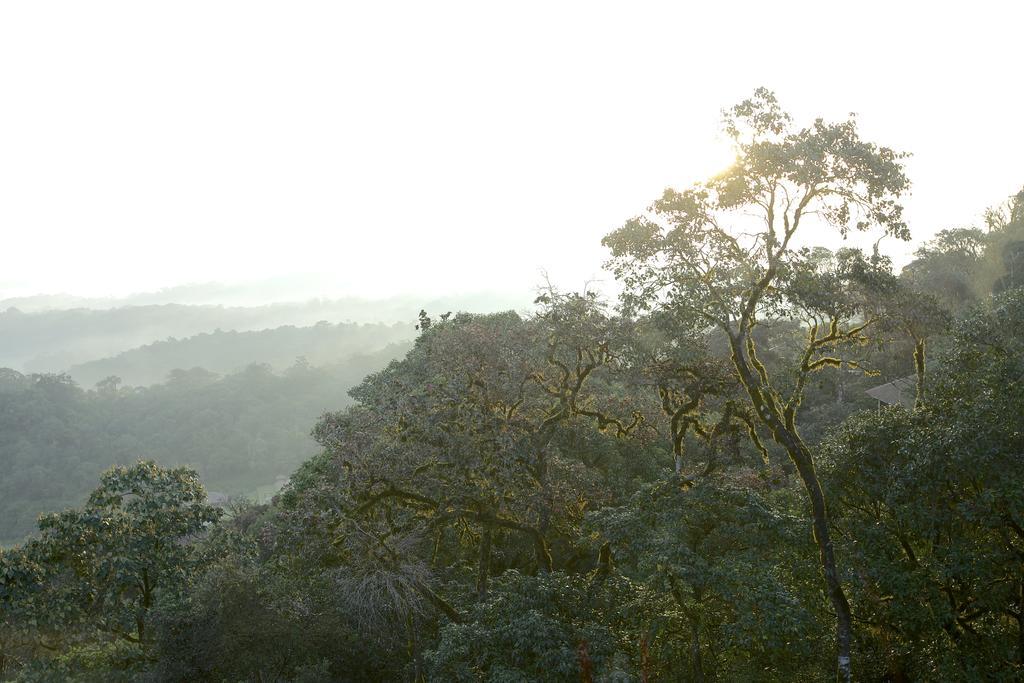 Taj Madikeri Resort&Spa Coorg Exteriör bild